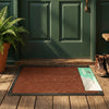 Carpet  4060 #1 BN