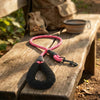 Dog Leash