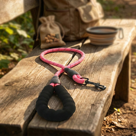 Dog Leash