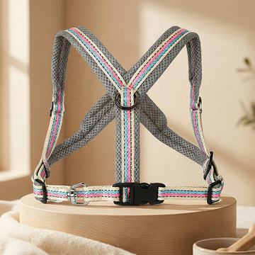 Dog Leash