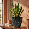 Flower Pot S