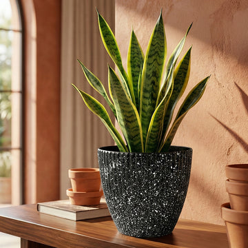 Flower Pot S