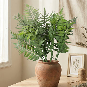 Ferns
