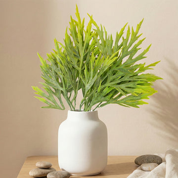Fern