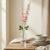 Delphiniums Flower