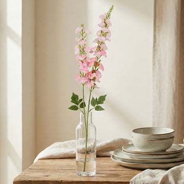 Delphiniums Flower