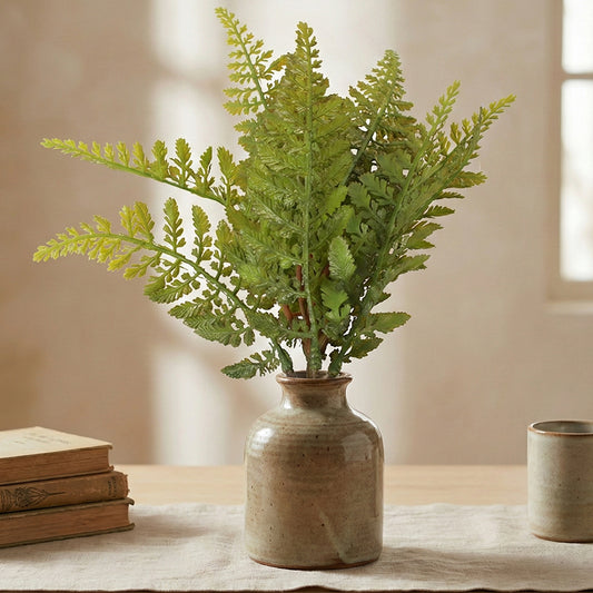 Boston Fern