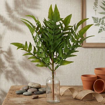 Wood Fern