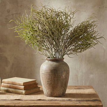 Spiral Grass