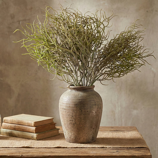 Spiral Grass