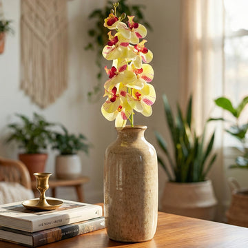 Orchid