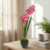 Orchid Pot Black
