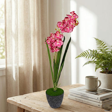 Orchid Pot Black