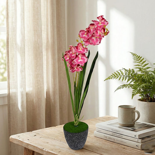 Orchid Pot Black