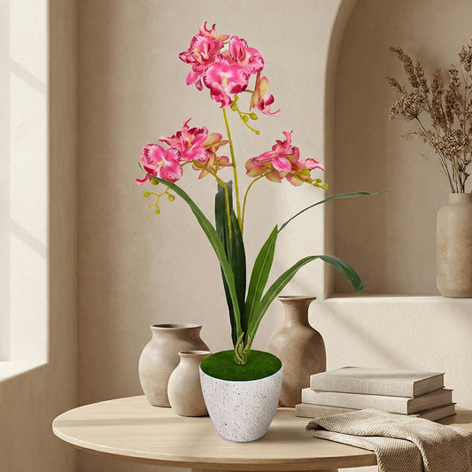Orchid Pot White