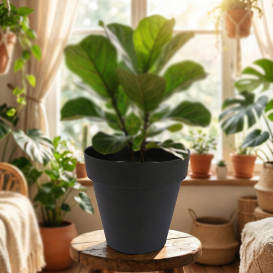 Flower Pot Black