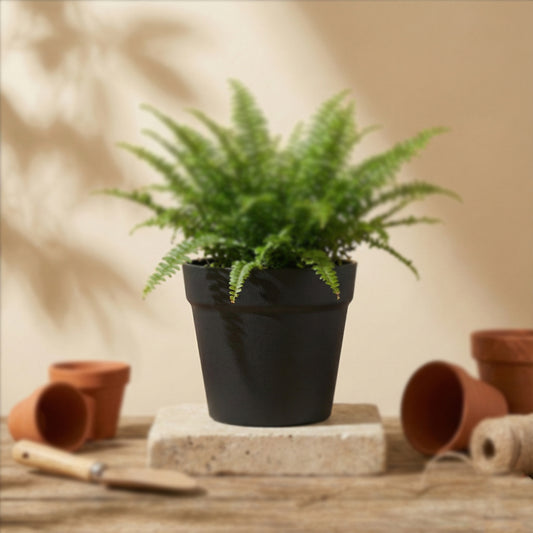 Flower Pot Black