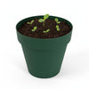 Flower Pot Green