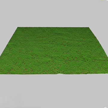 Moss Wall Decor 1M