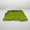 Moss Wall Decor 1M