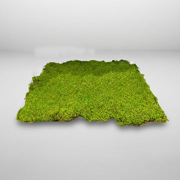 Moss Wall Decor 1M