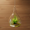 Glass Light Holder 8*13