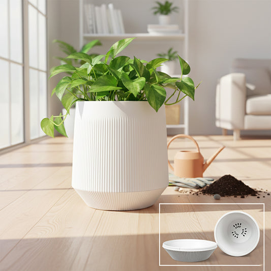Pot