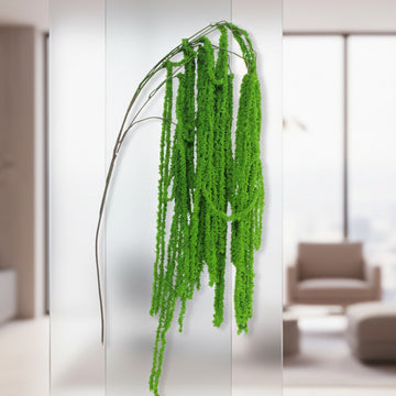 Vines
