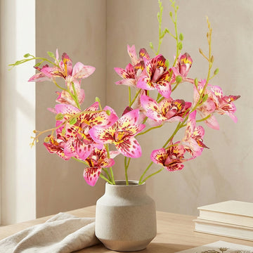 Orchid
