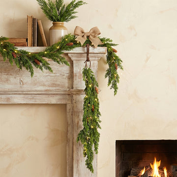 Pine Vine