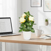 Rose Pot