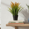 Fox Tail Pot