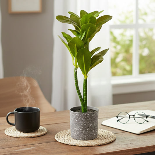 Rub/ Plant Pot