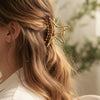 Claw Star Hair Clip
