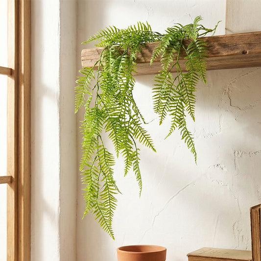 Hang Ferns