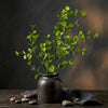 Artificial Leaves