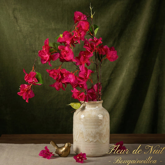 Bougainvilla