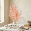 Color Bush