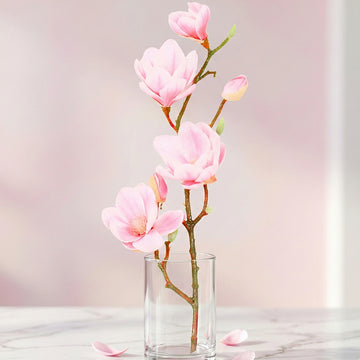 Magnolia