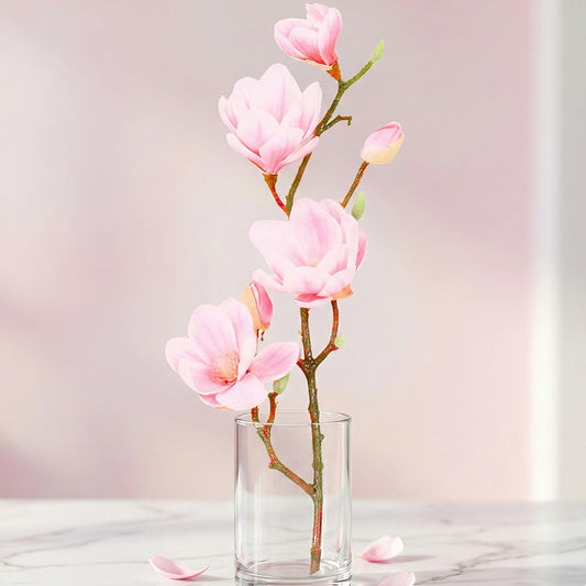 Magnolia