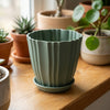Green ridged flower pot with matching tray