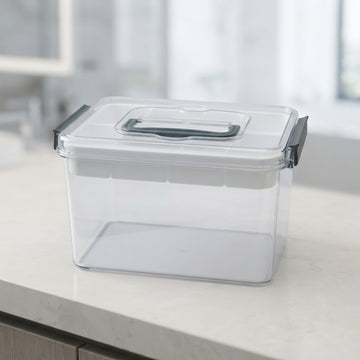 Clear medicine storage box with handle