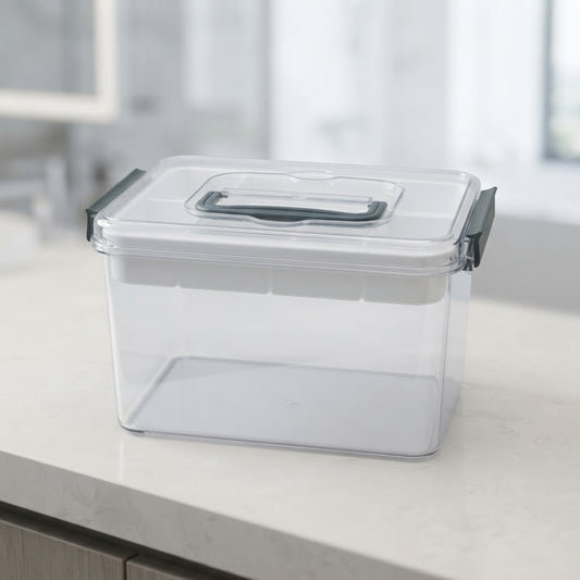 Clear medicine storage box with handle
