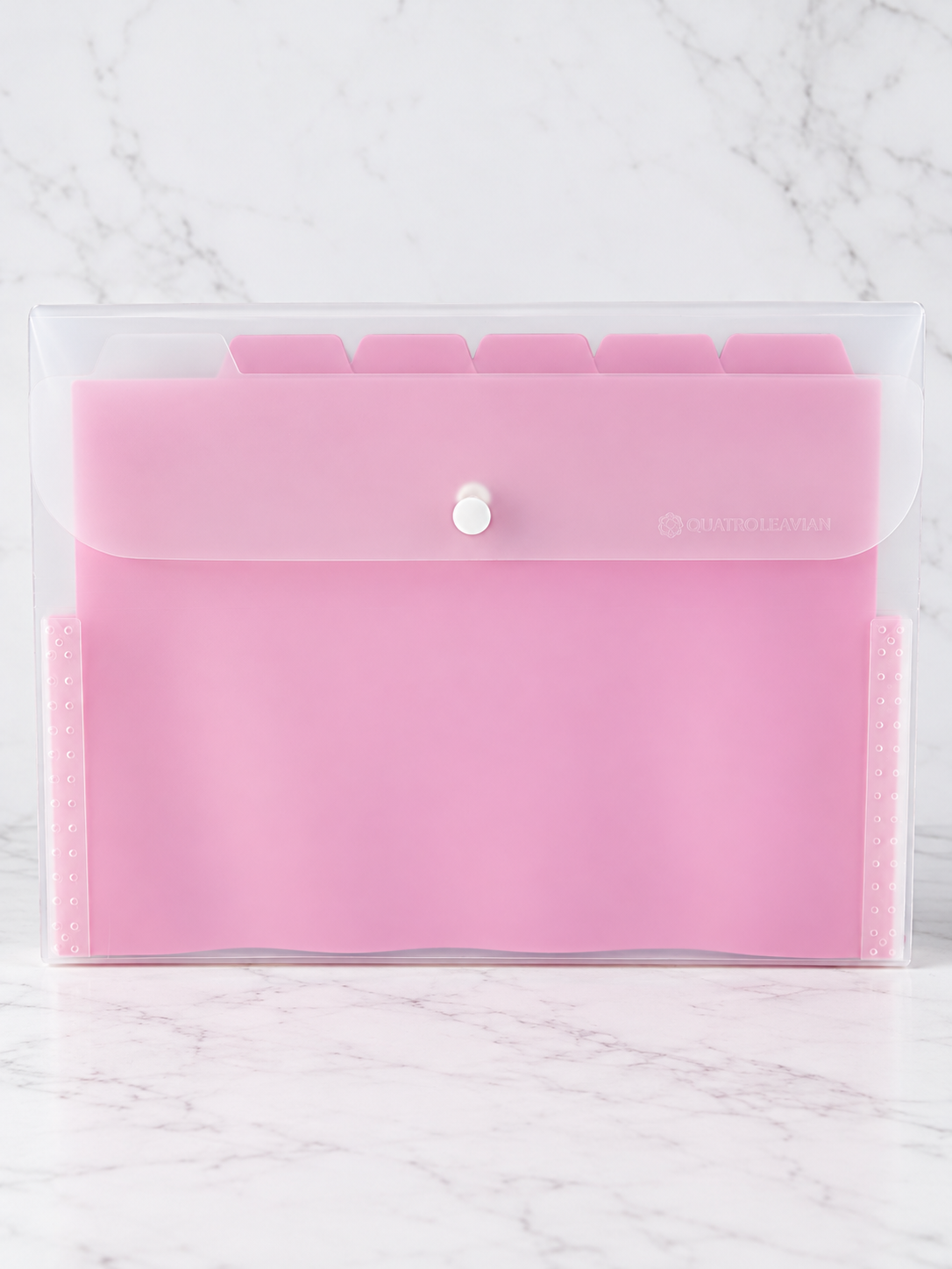 Multi-pocket tab document display holder clear sheet folder in soft blush pink with index tab dividers and transparent sleeves