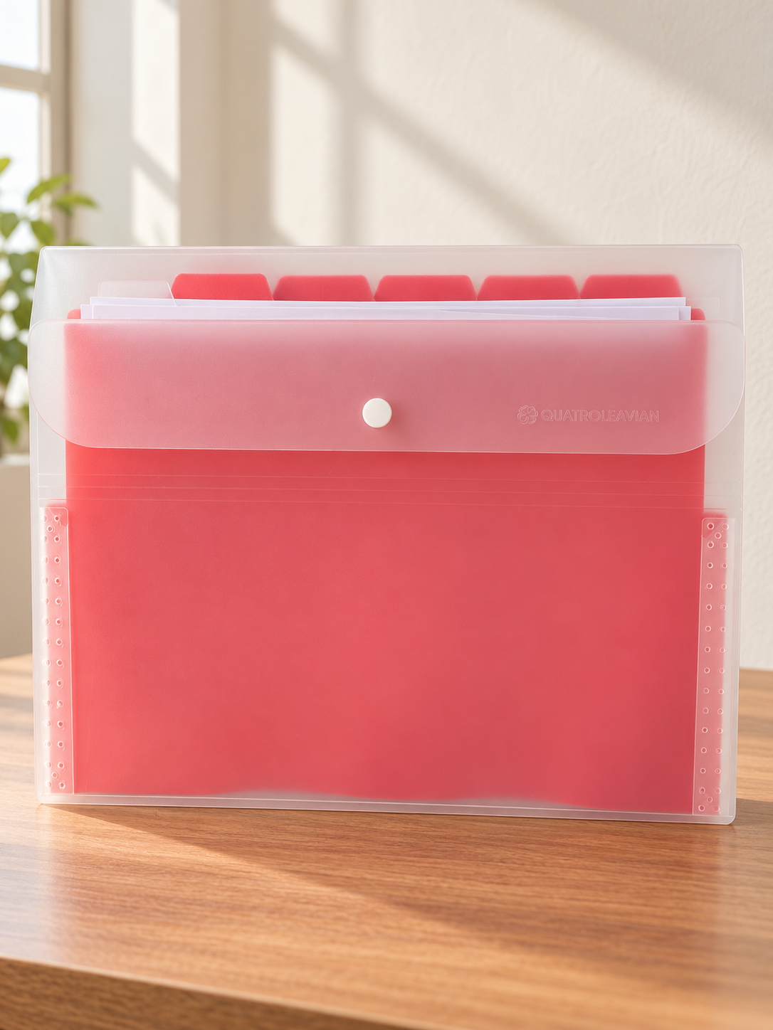 Multi-pocket tab document display holder clear sheet folder in bright crimson red with index tab dividers and clear display sleeves