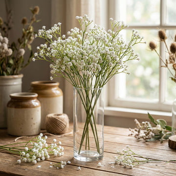 Baby Breath