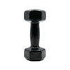Dumbbell 4 KG