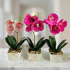 Potted Orchids Artificial
