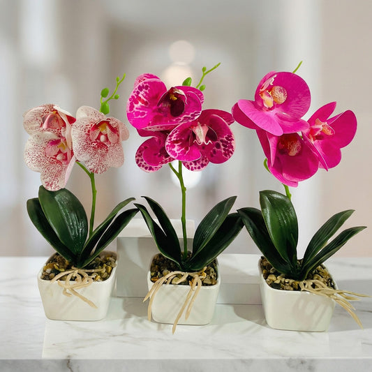 Potted Orchids Artificial