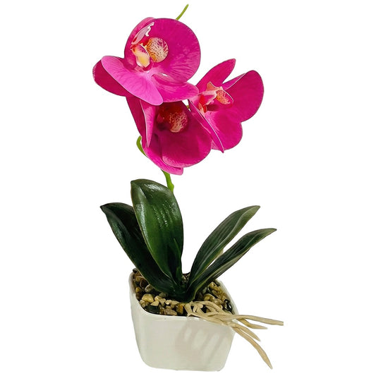 Potted Orchids Artificial